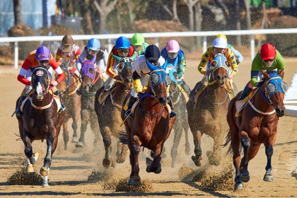 horse-racing